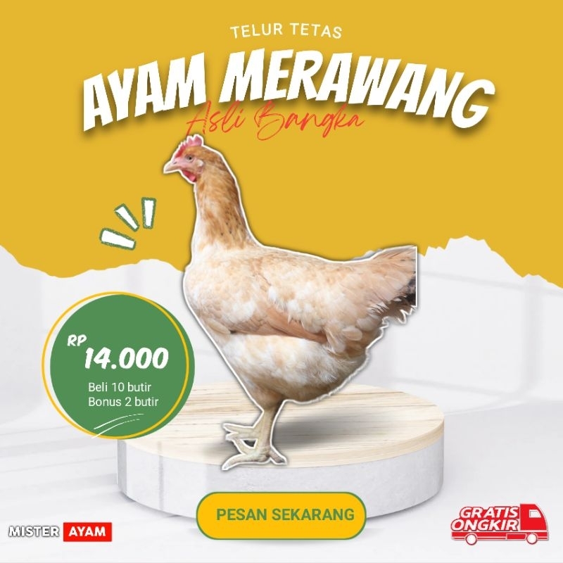 

TELUR AYAM MERAWANG ASLI BANGKA