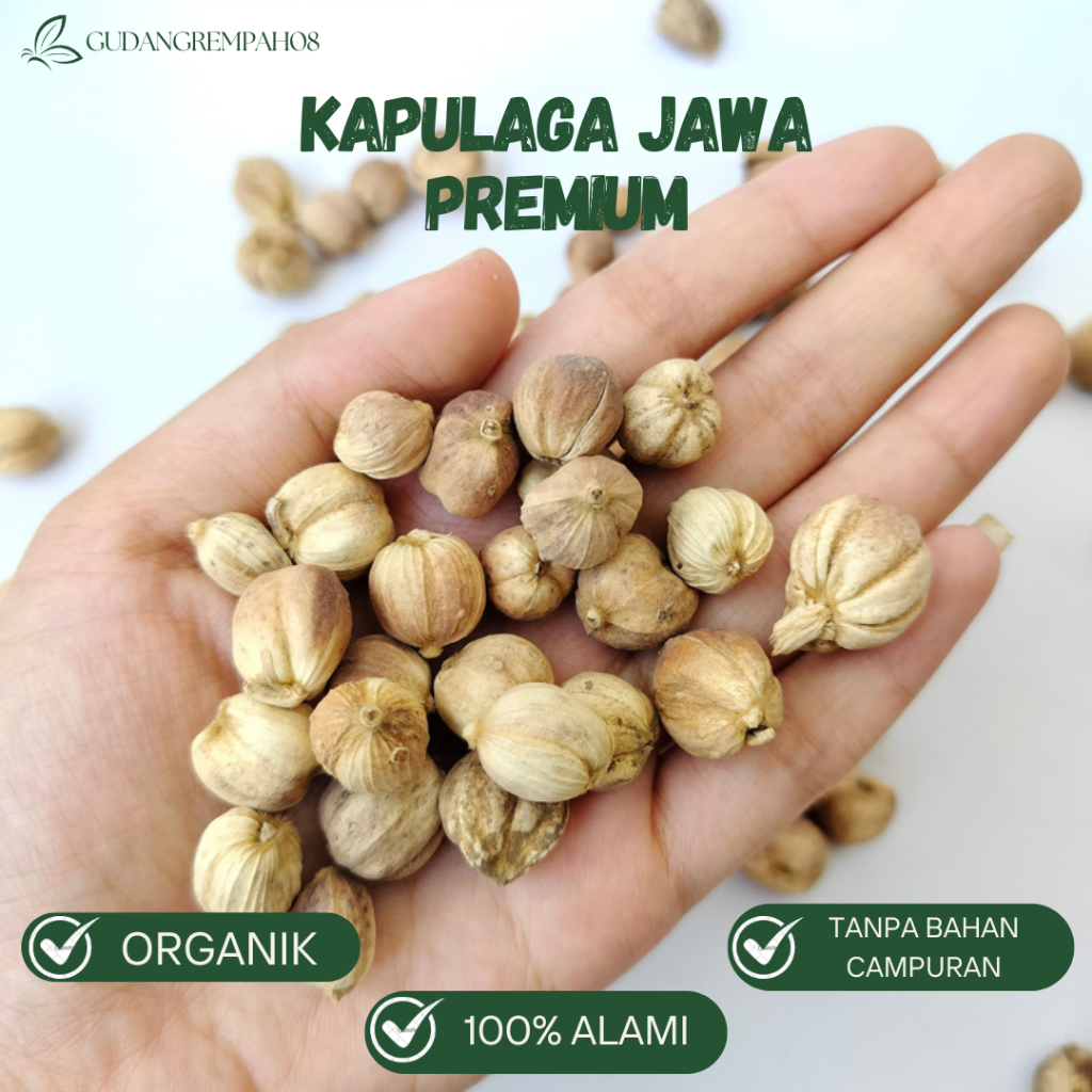 

Kapulaga Putih 100% Organik