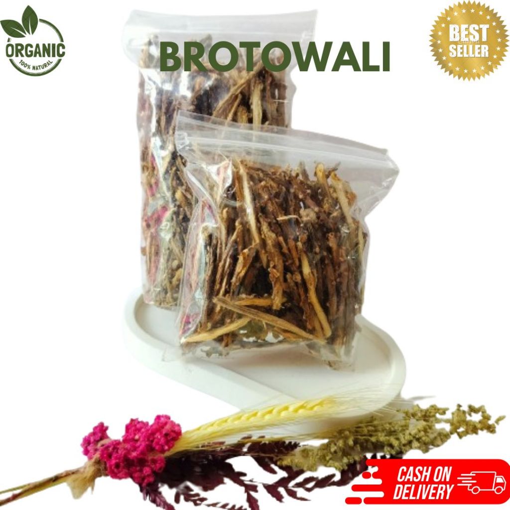 

Brotowali Jamu Herbal