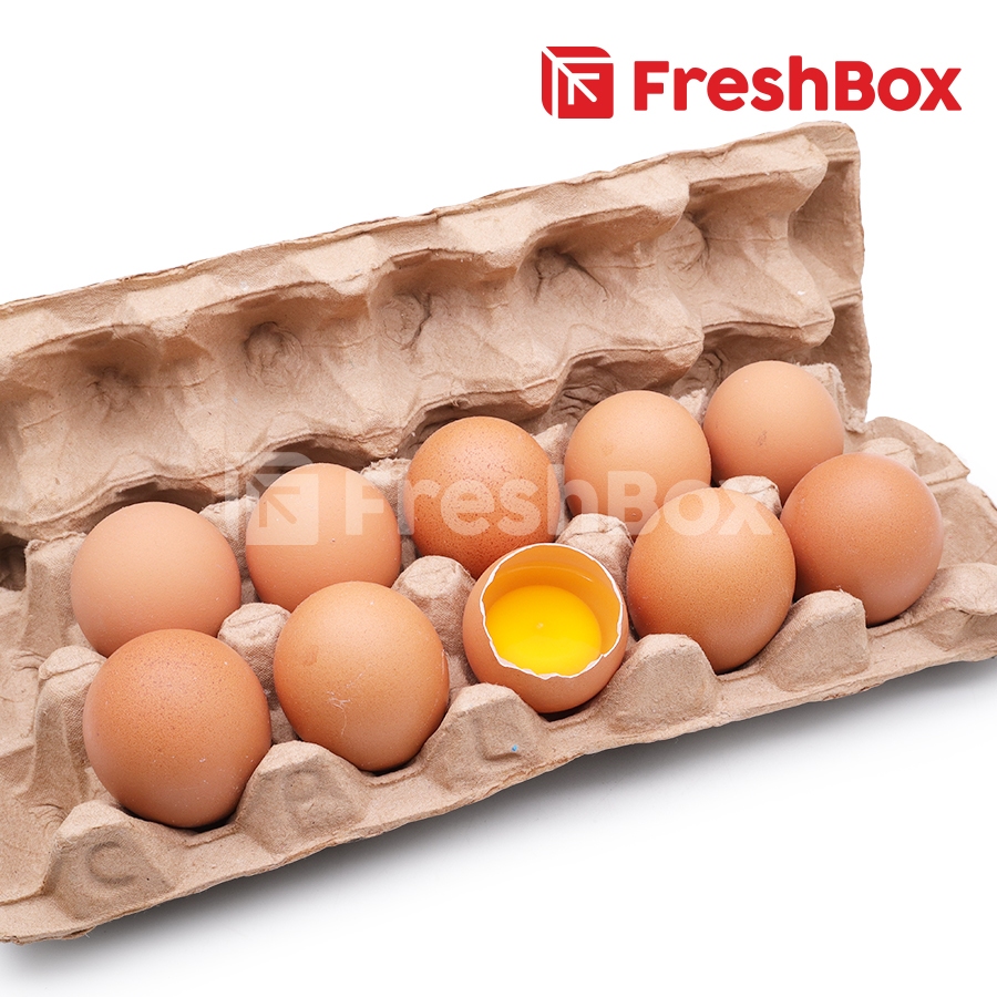 

Telur Ayam Negeri 10pcs FreshBox