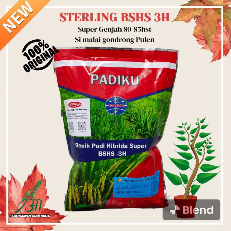 Benih padi Hibrida Sterling BSHS 3H 1KG Original Sterling seeds exp 14 September 2024 Bergaransi