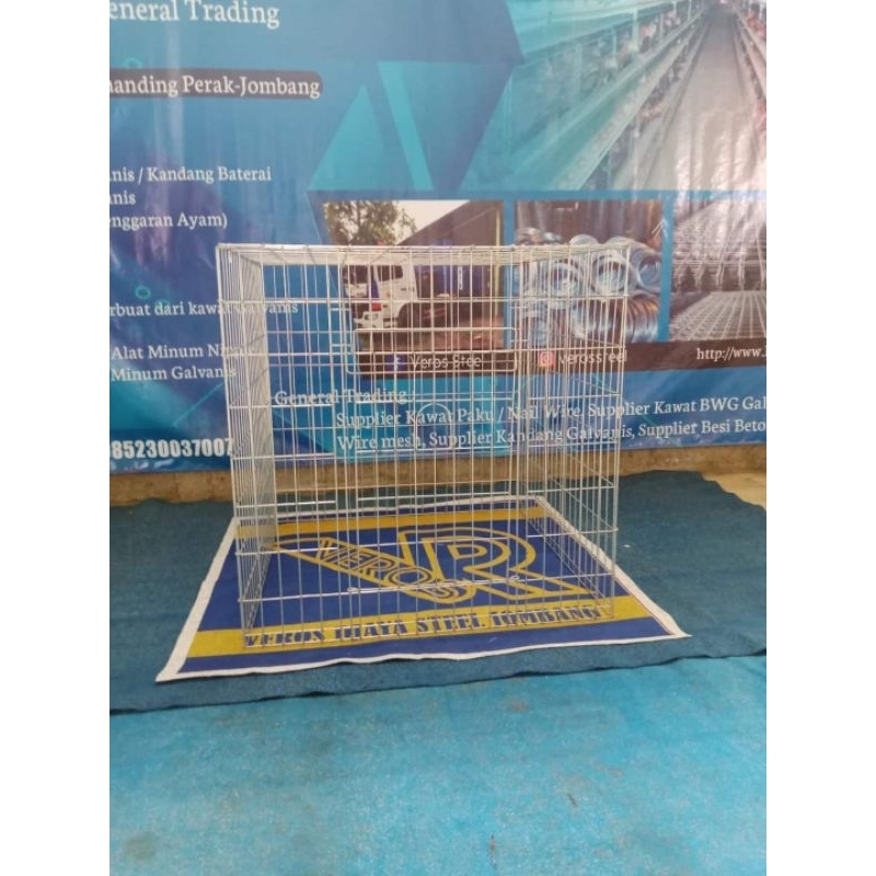 kandang galvanis