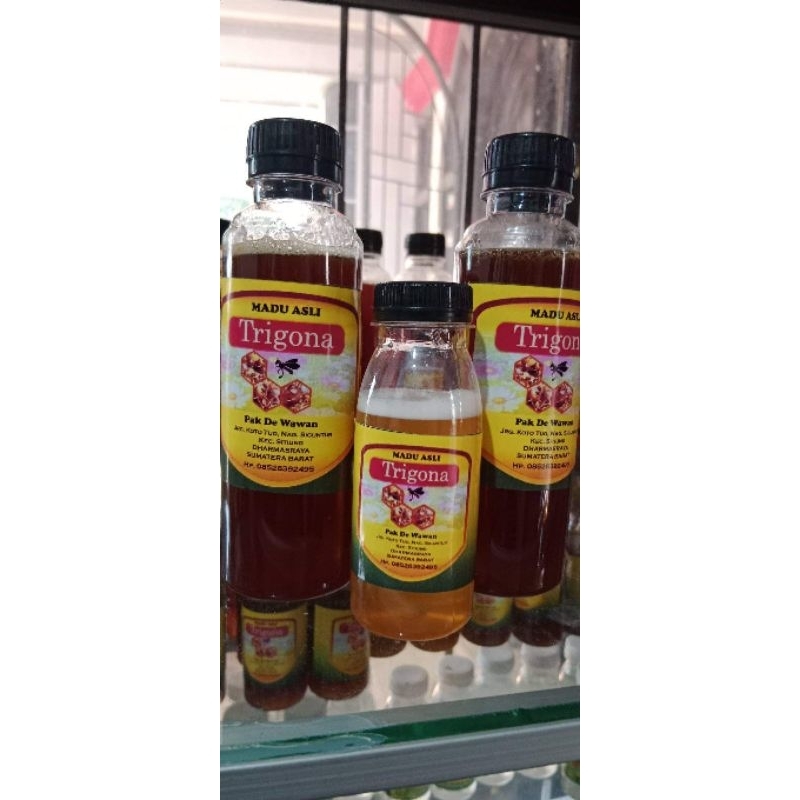 

madu trigona