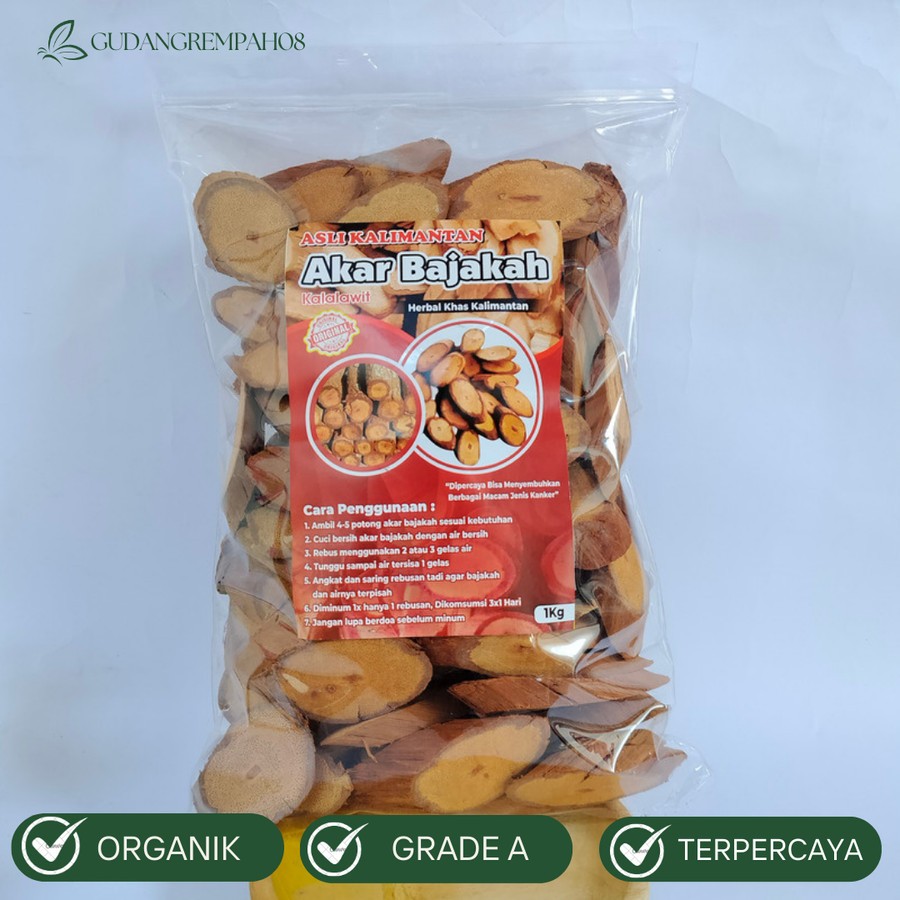 

AKAR BAJAKAH KALALAWIT ASAL KALIMANTAN KUALITAS SUPER
