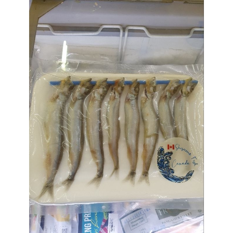 

Ikan Shisamo isi 8pcs