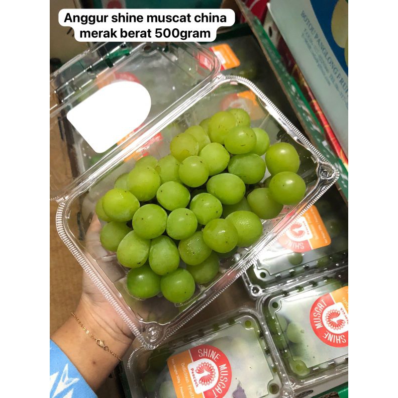 

Anggur Shine Muscat China Merak berat 500 grm / pack
