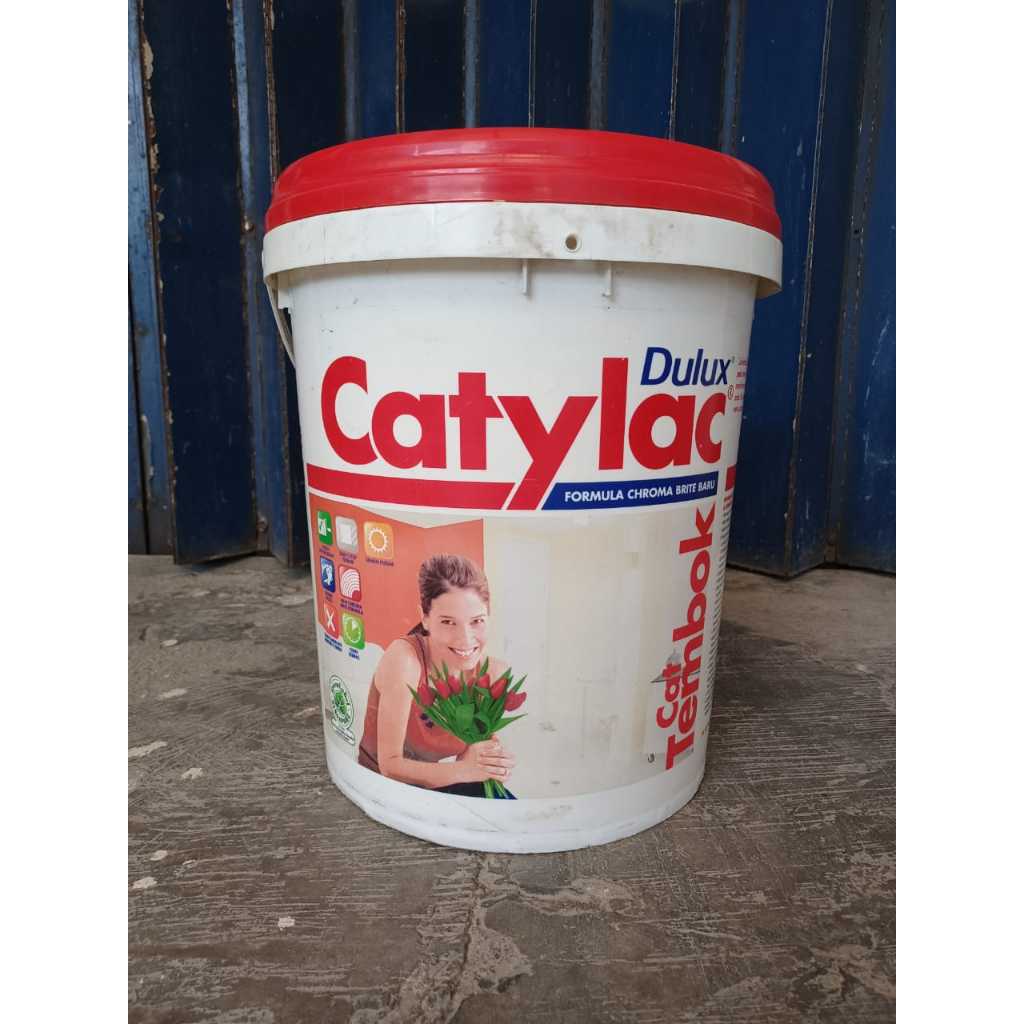 Cat Catylac 25 kg