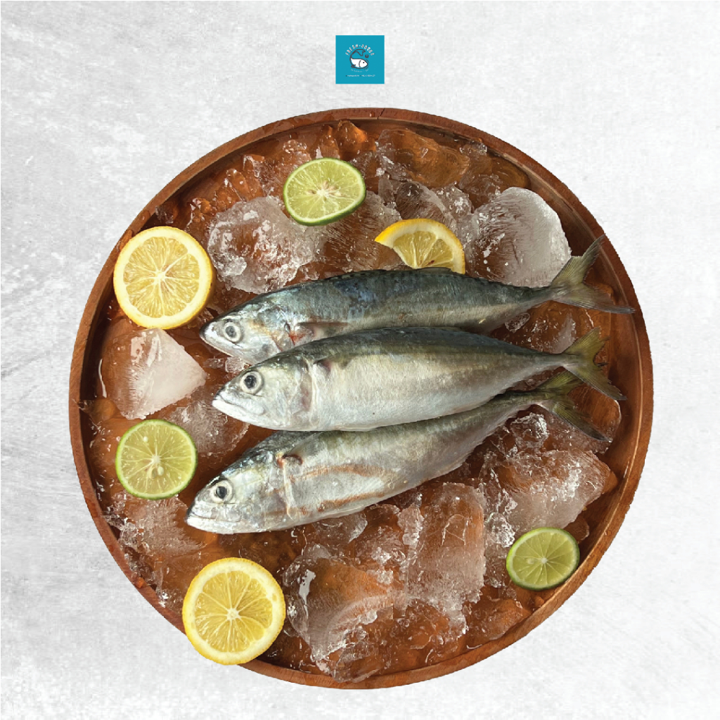 Ikan Kembung Banjar Size Sedang Segar - FreshGoods Jakarta Barat