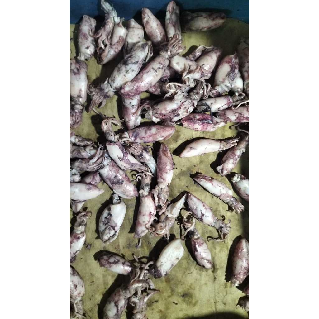 

IKAN ASIN CUMI UKURAN SEDANG PER 100 GR - IKAN ASIN - CUMI ASIN