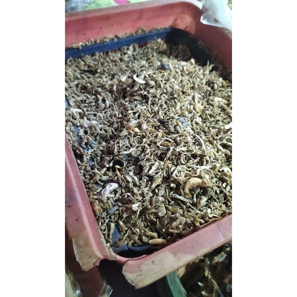 

IKAN ASIN GEGEDANGAN PER 100 GR - KAN ASIN GEGEDANGAN - IKAN ASIN