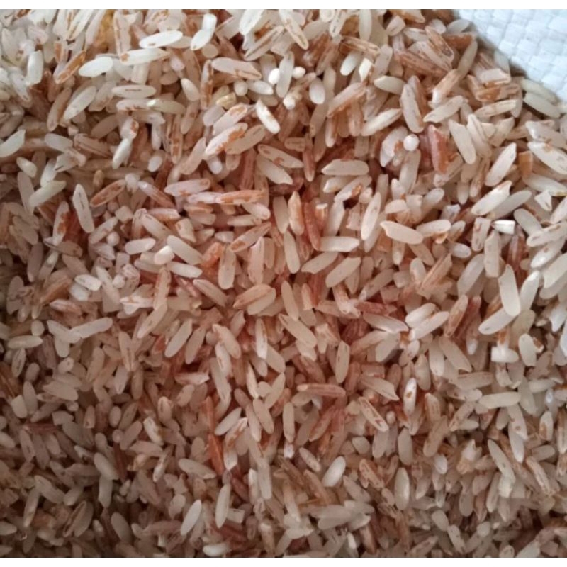 

Beras Merah Khas Tanah Karo 1 Kg