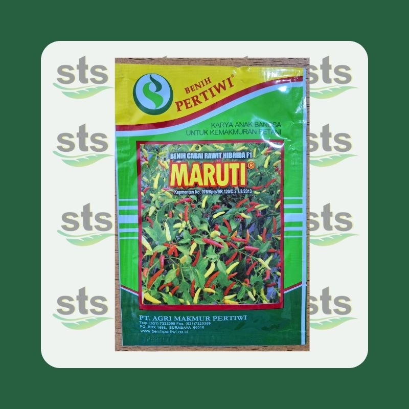 Benih Cabe Maruti