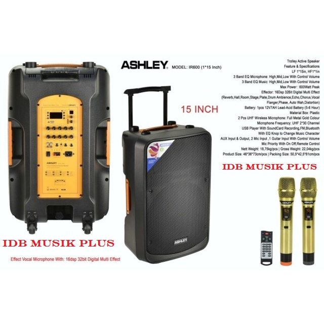 Speaker Portable 15" Ashley IR600 IR 600 Original