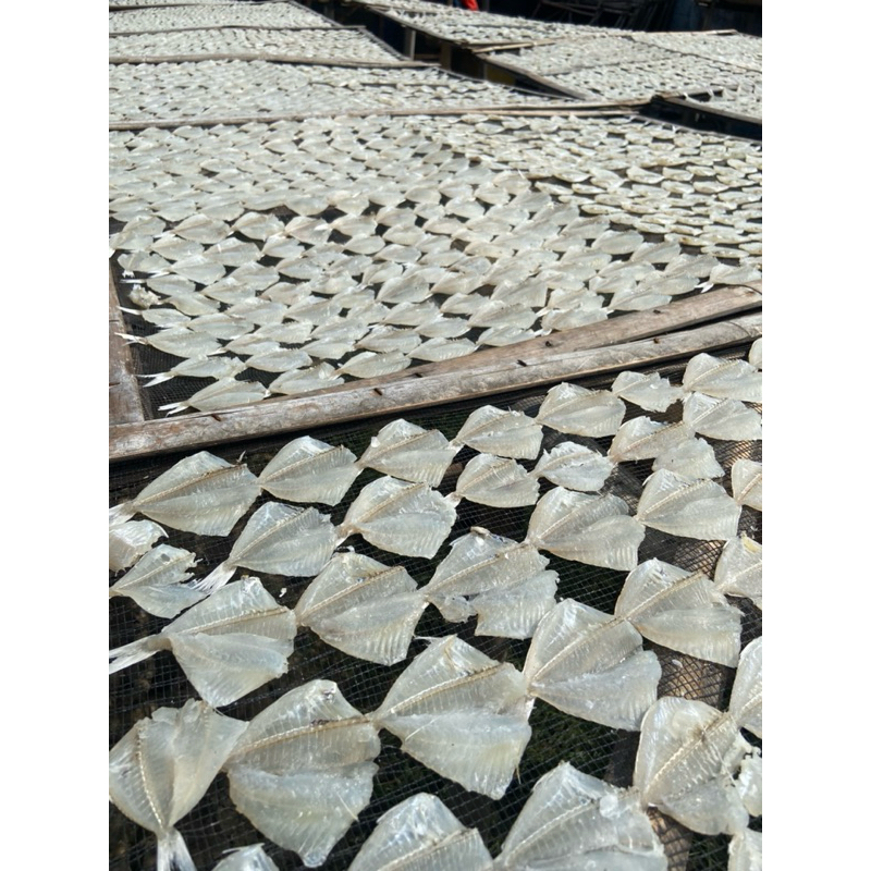 

Kapasan tawar asli tipis tanpa tulang kepala harga produsen pertama