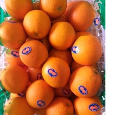 

SUNKIST NAVEL MANISS /JERUK POTONG