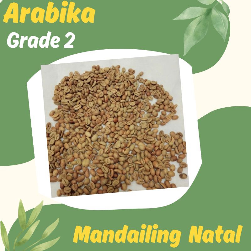 

Green Bean / Biji Kopi Mentah Arabika Natural Proses Mandailing Natal - Grade 2 (1 Kg)