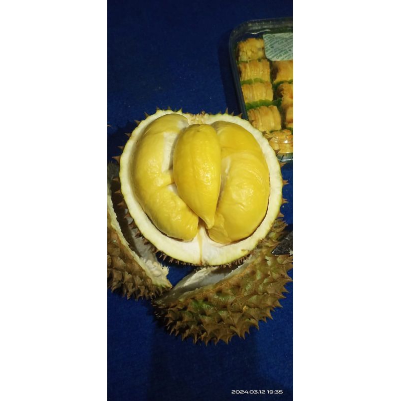 

durian musangking