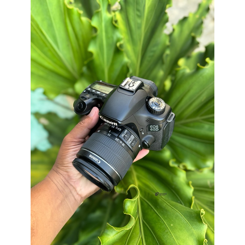 canon 60D