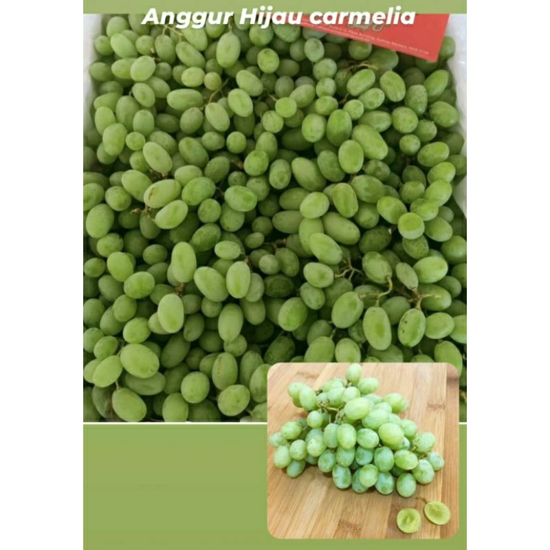 

anggur carmelia 500gr