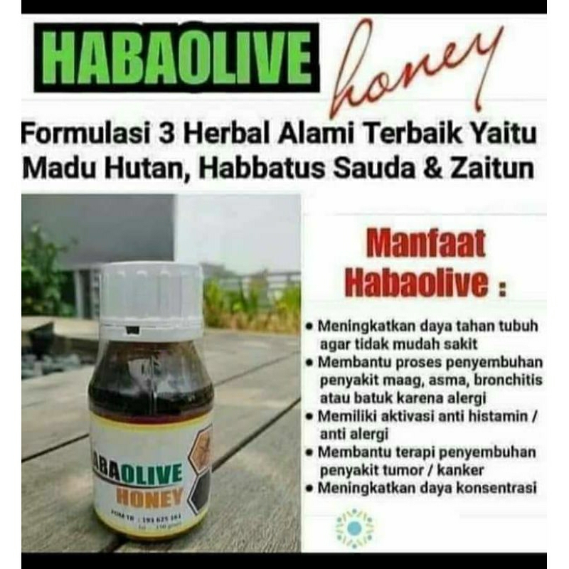 

Habaolive Honey Madu Hutan - Memperkuat Sistem Kekebalan Tubuh