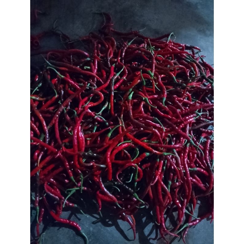

Cabe Merah Keriting Fresh 1 Kg