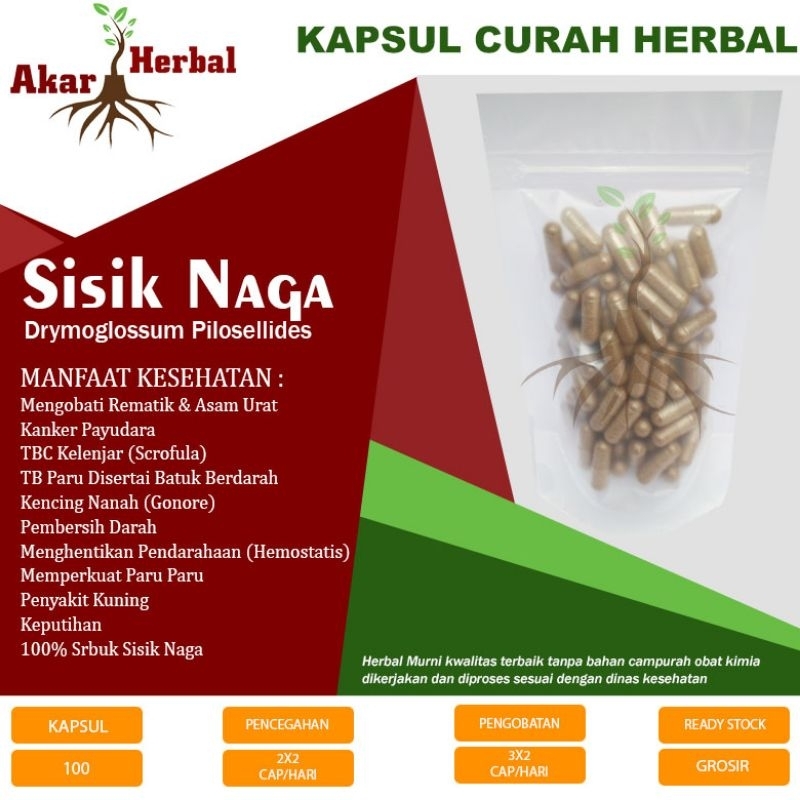 

SISIK NAGA SERBUK 100kps