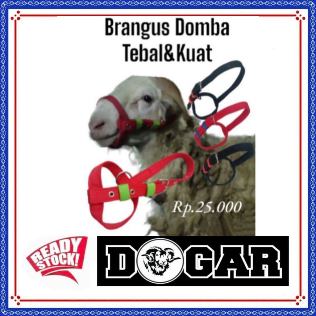 BRANGUS KAMBING / DOMBA - HEAD HALTER