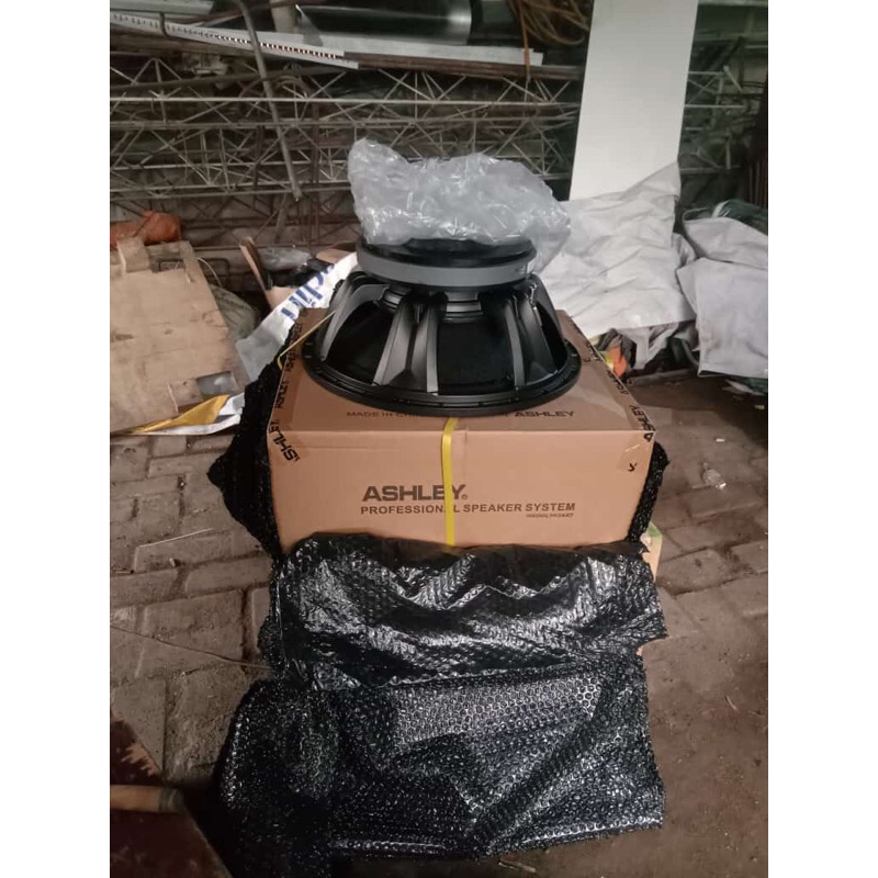 speaker ashley 18v500