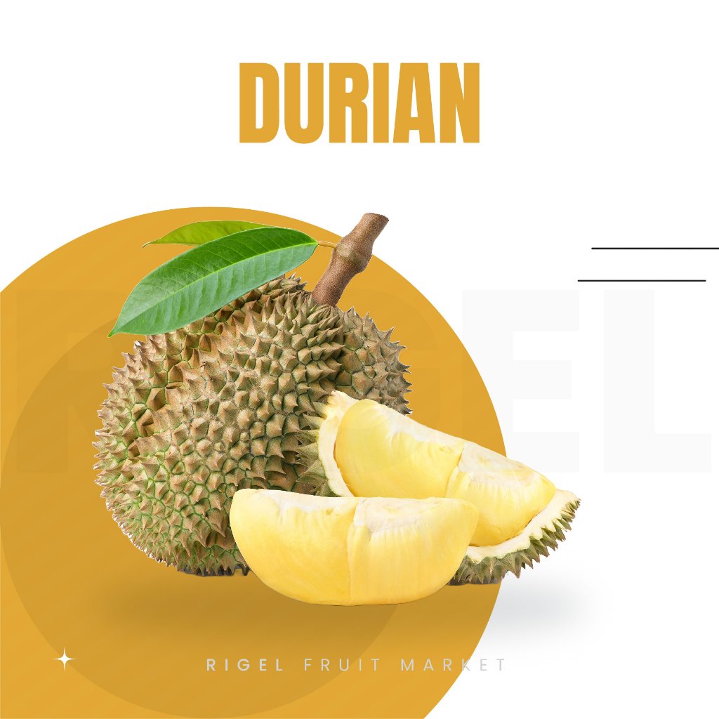 

Durian Lokal Per Biji