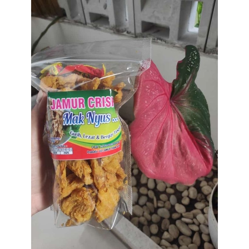 

Kripik Jamur Krispi berat 200gr