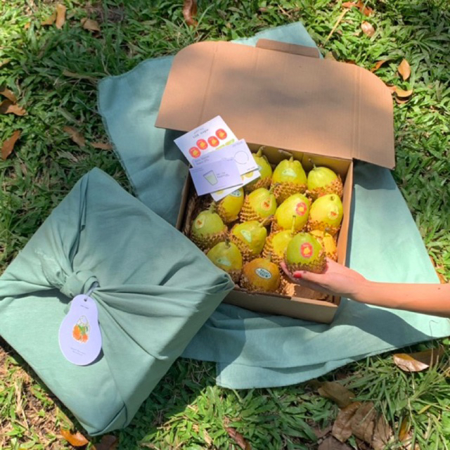 

Hampers Parcel Buah Tangan Pir 2 Kg - LOS tropis