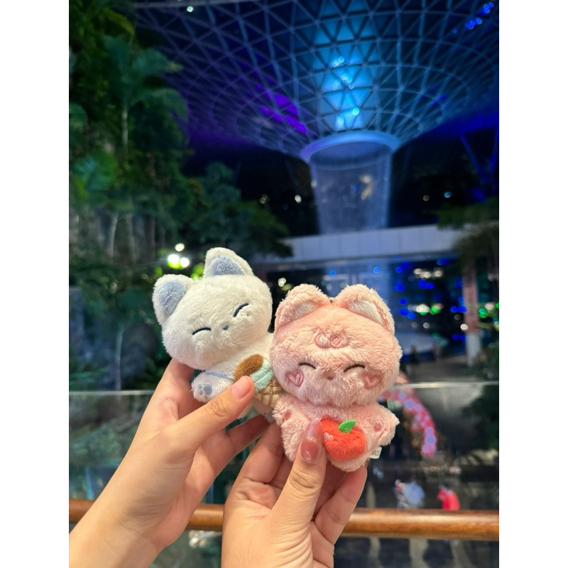 READYSTOCK DOLL SUNOO ENHYPEN 10CM MINTNOO DAN PEACHNOO OFFICIAL MAKERNIM