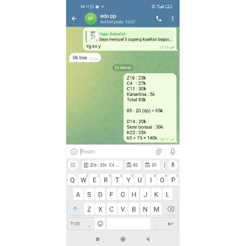 6 cupang kualitas bagus