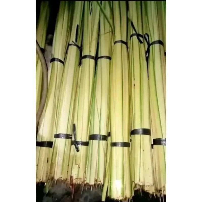 

Janur kuning daun kelapa muda 250 lembar