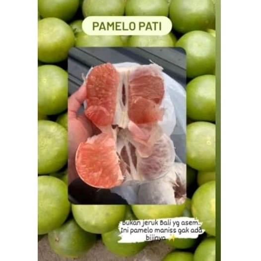 

pamelo pati manis