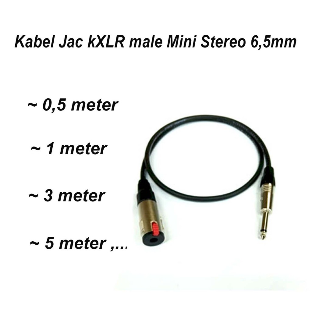 Kabel Audio Canare Jack Akai Male to Akai Female 6.5mm - 1 Meter