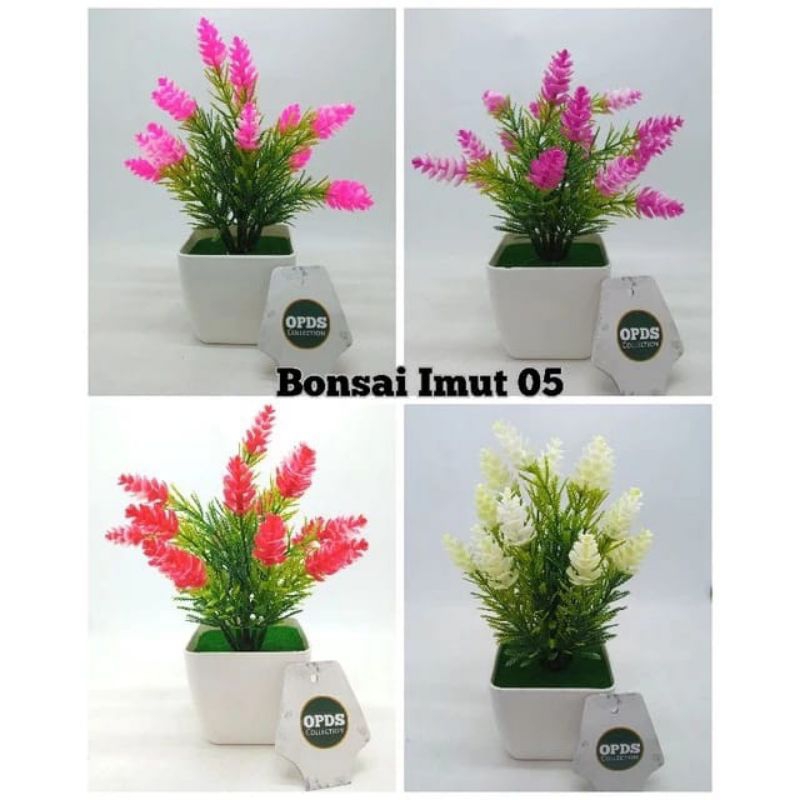 Bonsai Bunga Mini Pinus Bonsai Bunga Imut 05 Bonsai Bunga siap Pakai Bonsai Souvenir Bonsai Bunga Hi