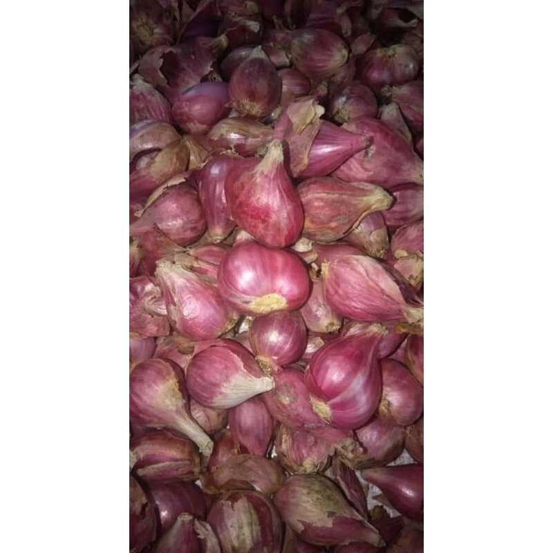 

BAWANG MERAH ASLI BREBES 500G