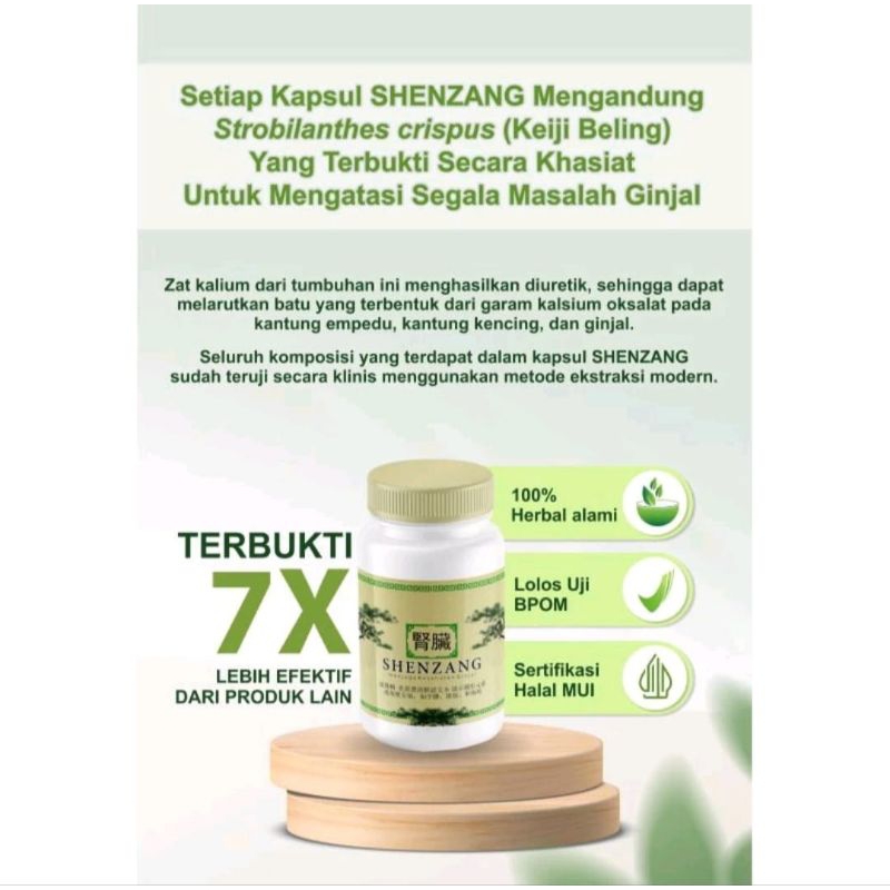 Shenzang Asli Original Obat Herbal Atasi Batu Ginjal Dan Saluran Kemih