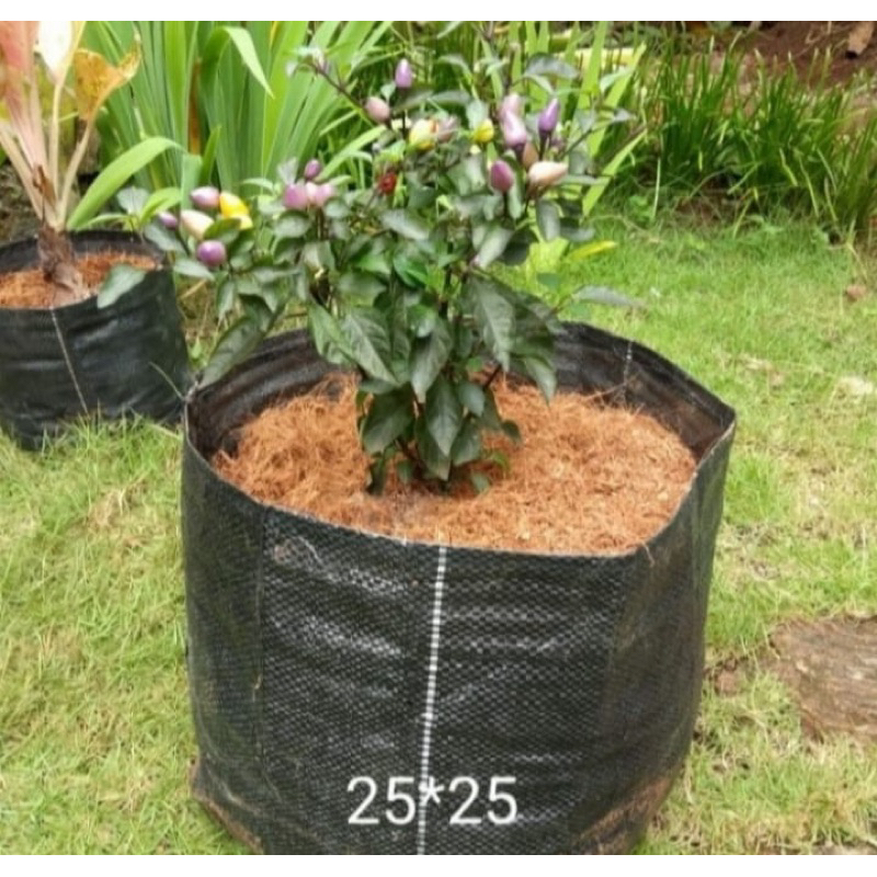 PLANTER BAG 15 LITER HITAM