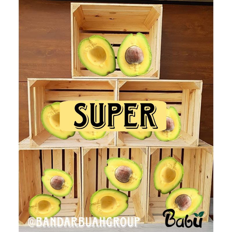 

Alpukat Mentega - Size Super