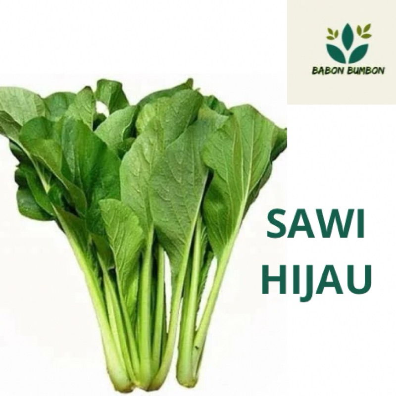 

FRESH LANGSUNG KIRIM SAWI HIJAU 500gr