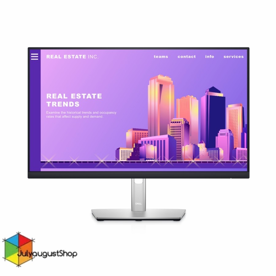 Dell 24" Inch IPS Monitor - P2422H