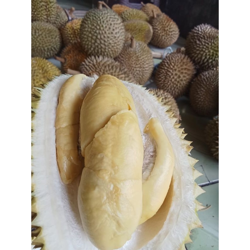 

durian