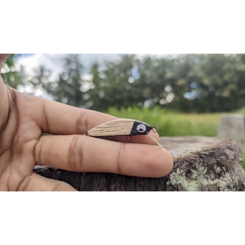 micro minnow lure 3cm