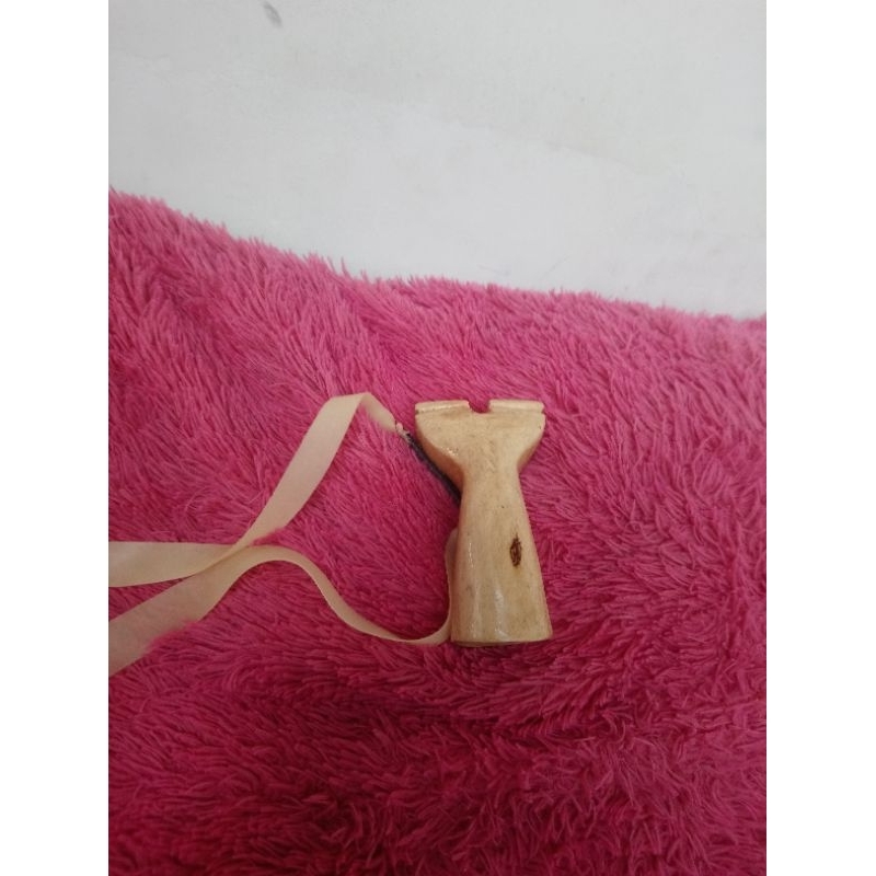ketapel pfs batang pohon kelengkeng