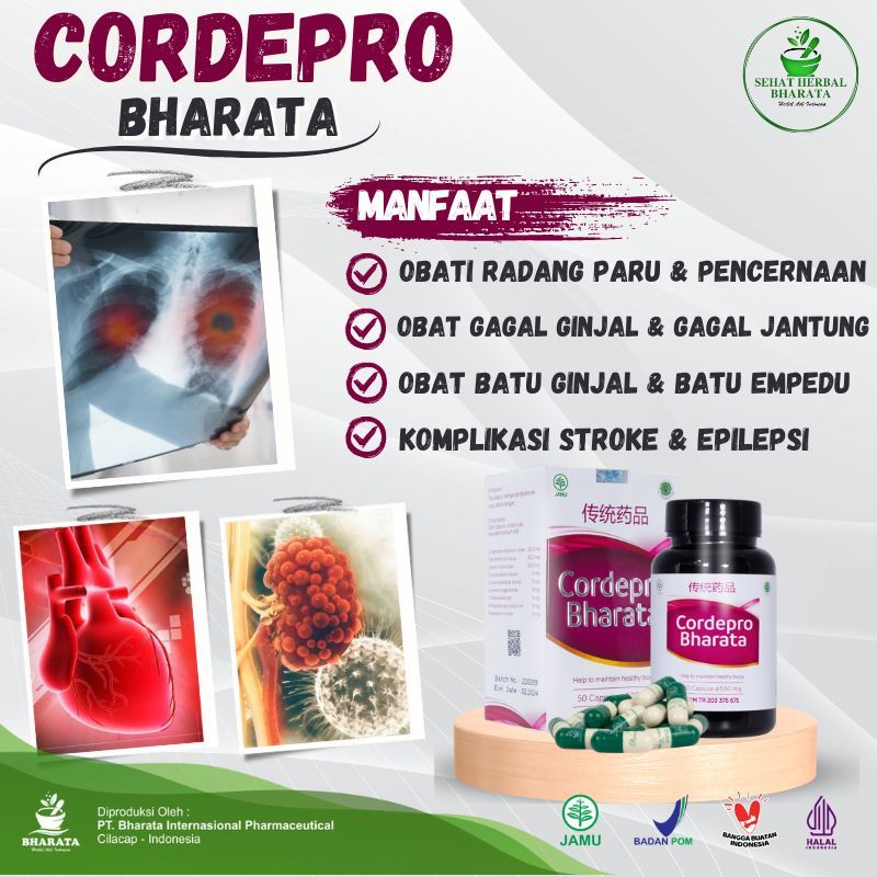 CORDEPRO BHARATA HERBAL 100% Asli Original Bharata