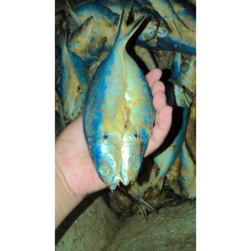 

Ikan Kering Sindrili