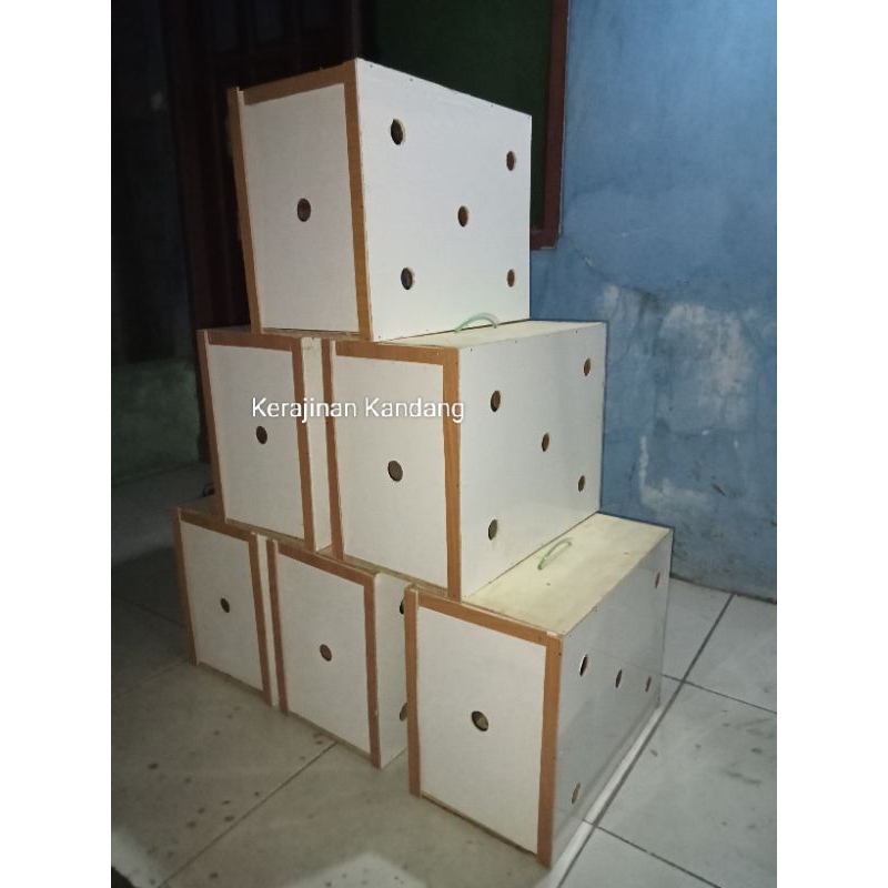 original BOX PENGIRIMAN AYAM BANGKOK | BOK PENGIRIMAN HEWAN p45 L23 t32