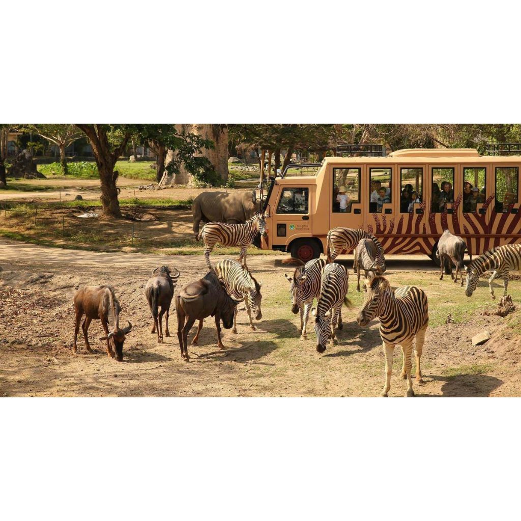 Wisata Main ke Zoo, Kebun Binatang Bali